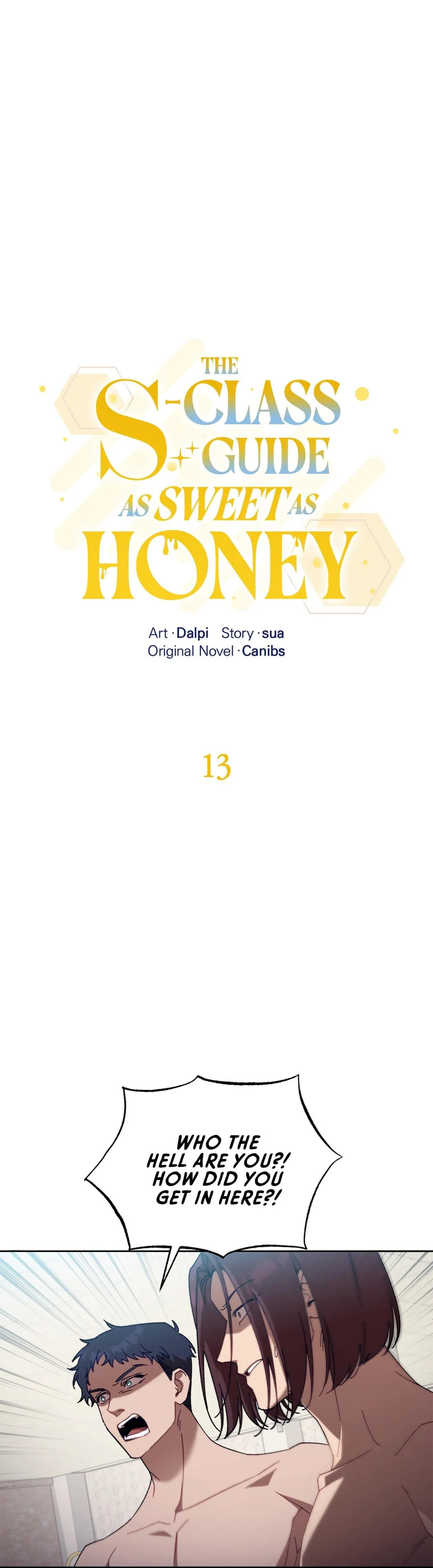 Honey Coated S Class Guide – Chapter 13 page 18